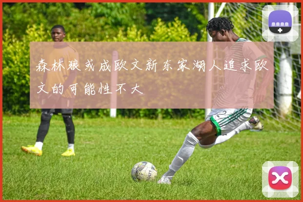 森林狼或成欧文新东家湖人追求欧文的可能性不大