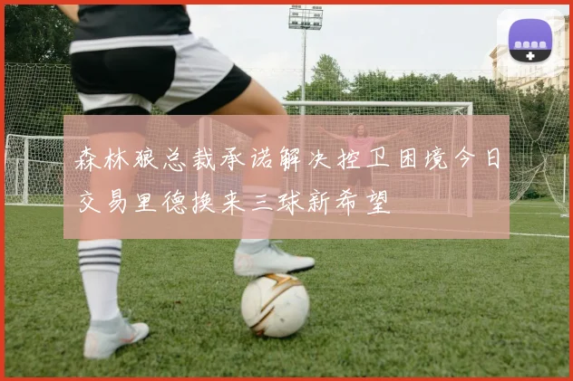 森林狼总裁承诺解决控卫困境今日交易里德换来三球新希望