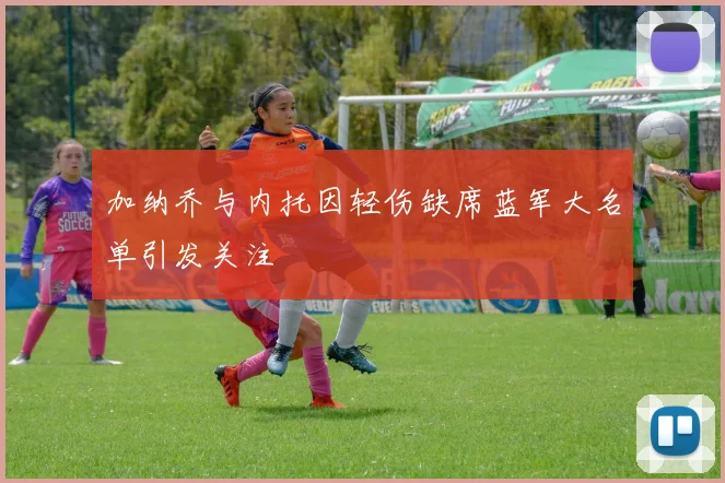 加纳乔与内托因轻伤缺席蓝军大名单引发关注